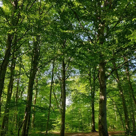 Dronninglund Appartements Apartment *